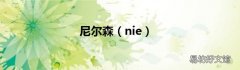 nie 尼尔森