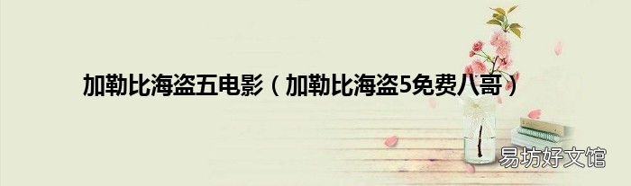 加勒比海盗5免费八哥 加勒比海盗五电影