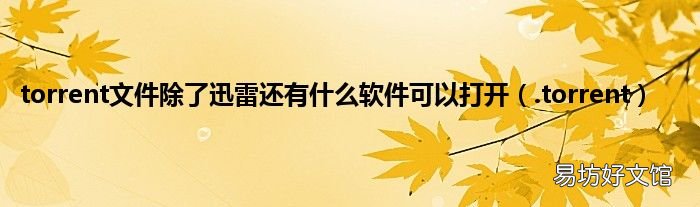 .torrent torrent文件除了迅雷还有什么软件可以打开