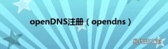opendns openDNS注册