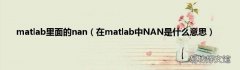 在matlab中NAN是什么意思 matlab里面的nan
