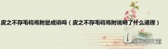 皮之不存毛将焉附说明了什么道理 皮之不存毛将焉附是成语吗