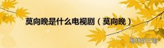 莫向晚 莫向晚是什么电视剧