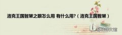 洛克王国智慧 洛克王国智慧之眼怎么用 有什么用?