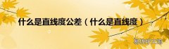 什么是直线度 什么是直线度公差