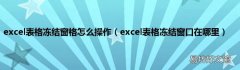 excel表格冻结窗口在哪里 excel表格冻结窗格怎么操作