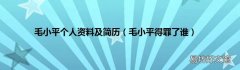 毛小平得罪了谁 毛小平个人资料及简历