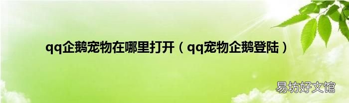 qq宠物企鹅登陆 qq企鹅宠物在哪里打开