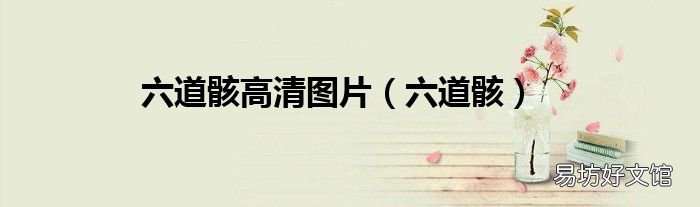 六道骸 六道骸高清图片