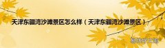 天津东疆湾沙滩景区 天津东疆湾沙滩景区怎么样