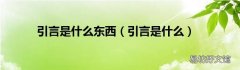 引言是什么 引言是什么东西