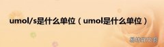 umol是什么单位 umol/s是什么单位