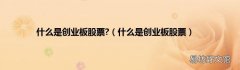什么是创业板股票 什么是创业板股票?