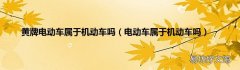 电动车属于机动车吗 黄牌电动车属于机动车吗