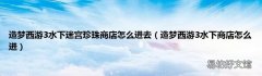 造梦西游3水下商店怎么进 造梦西游3水下迷宫珍珠商店怎么进去