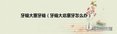 牙缝大总塞牙怎么办 牙缝大塞牙缝