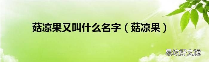 菇凉果 菇凉果又叫什么名字