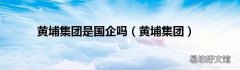 黄埔集团 黄埔集团是国企吗