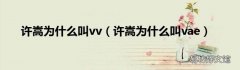 许嵩为什么叫vae 许嵩为什么叫vv