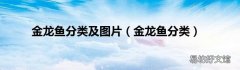 金龙鱼分类 金龙鱼分类及图片