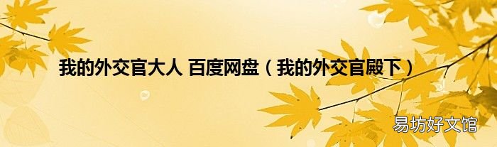 我的外交官殿下 我的外交官大人 百度网盘