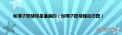 伽椰子爬楼梯动态图 伽椰子爬楼梯是谁演的