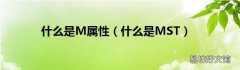 什么是MST 什么是M属性