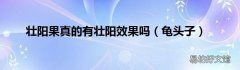 龟头子 壮阳果真的有壮阳效果吗