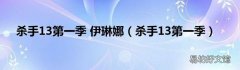 杀手13第一季 杀手13第一季 伊琳娜