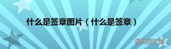 什么是签章 什么是签章图片