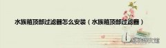 水族箱顶部过滤器 水族箱顶部过滤器怎么安装