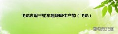 飞彩 飞彩农用三轮车是哪里生产的