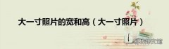 大一寸照片 大一寸照片的宽和高