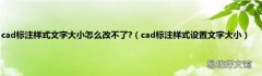 cad标注样式设置文字大小 cad标注样式文字大小怎么改不了?