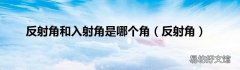 反射角 反射角和入射角是哪个角