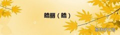 皓 皓丽