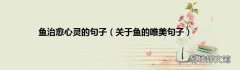 关于鱼的唯美句子 鱼治愈心灵的句子
