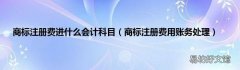 商标注册费用账务处理 商标注册费进什么会计科目