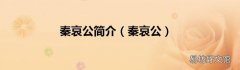 秦哀公 秦哀公简介