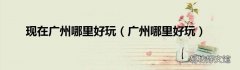 广州哪里好玩 现在广州哪里好玩