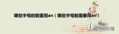 哪些字母前面要用an 哪些字母的前面用an