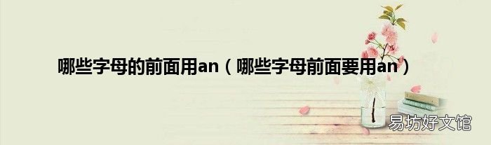 哪些字母前面要用an 哪些字母的前面用an