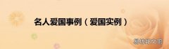 爱国实例 名人爱国事例