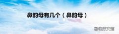 鼻韵母 鼻韵母有几个