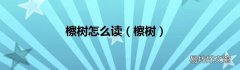 檫树 檫树怎么读