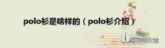 polo衫介绍 polo衫是啥样的