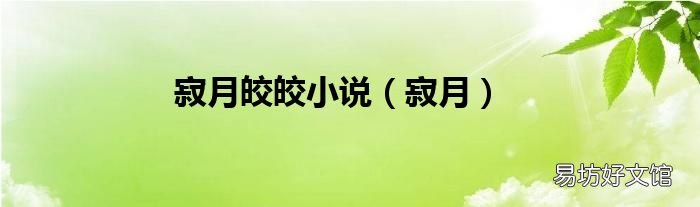 寂月 寂月皎皎小说