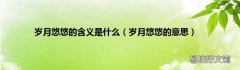 岁月悠悠的意思 岁月悠悠的含义是什么