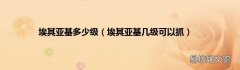 埃其亚基几级可以抓 埃其亚基多少级