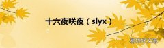 slyx 十六夜咲夜